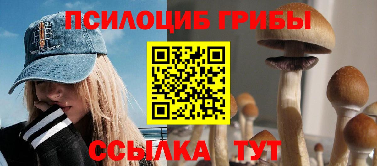 Псилоцибиновые грибы мицелий  Вход с VPN  Якутск 